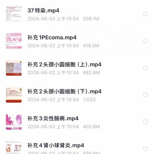 病理规培技能考试 更新衡道病理规培 桃子病理 规培资料病理规培资料衡道病理规培