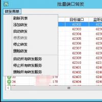 高效稳定的批量端口转发工具，专为软件开发者打造