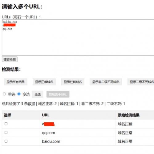 自用域名批量检测工具 支持多URL并发检测 提供全面状态分析