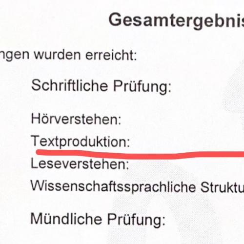 独家Dsh与德语学习资料，真实提分经验助力高效备考