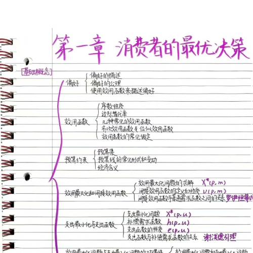 高级微观经济学课程笔记
高级微观经济学课程笔记
有课堂上老师的ppt整理，也有自己的心得体会和要点总