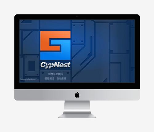 正版柏楚CypNest专业版 激光切割自动排版软件套料软件排版编程平面