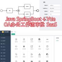 Java SpringBoot开发的OA办公系统源码 带工作流审批功能 支持SaaS多租户架构 源码完整含前后端 数据库齐全 文档完善