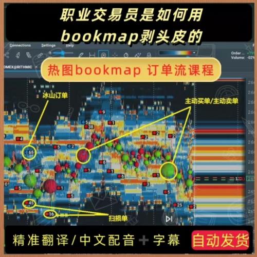 Bookmap订单流22节中文实战课程｜独家母语配音+字幕 订单流交易进阶秘籍