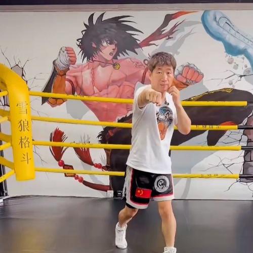 系统拳击技法全面讲解课程