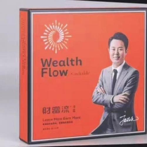 提供全面财富流沙盘资料与视频教程及教练培训课程