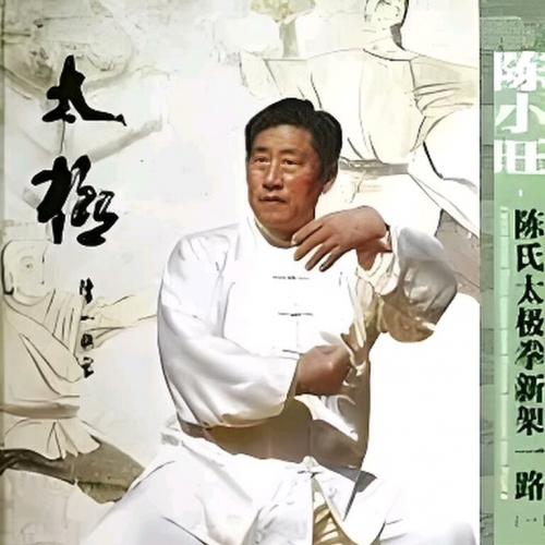 陈小旺大师太极教学电子资料，网盘直发