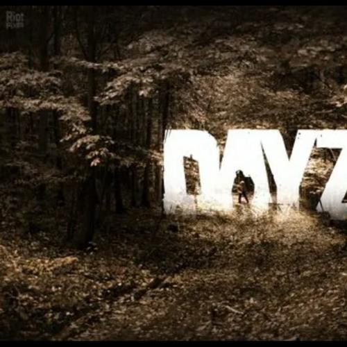 Dayz1.26好友联机版，内置地图新手不迷路，开黑联机 组队系统
可以跨网  也可单机   内容和