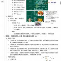 神经病学笔记，根据王逸老师的课（有课）整理，内容全面，重点突出