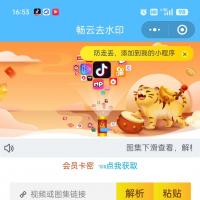 2025独立蓝色版去水印小程序源码，前端+后端，有独立后台