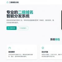 全新二级域名分发系统商业版全开源源码OE源码网基于快乐二次开发