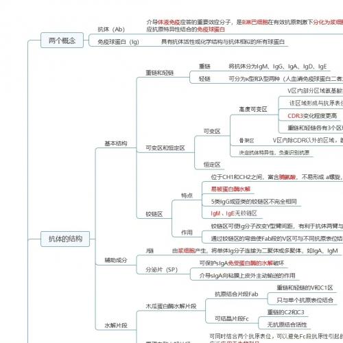 可编辑免疫学MindMaster思维导图｜基于人卫教材与姚小姚学免疫整理｜彩色高清带图注