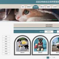 基于SSM框架的流浪动物救助与领养管理系统开发源码，含Java Web项目完整