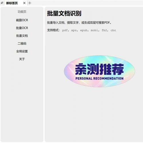 OCR-VI 档案数字化批量识别工具 支持离线转双层PDF