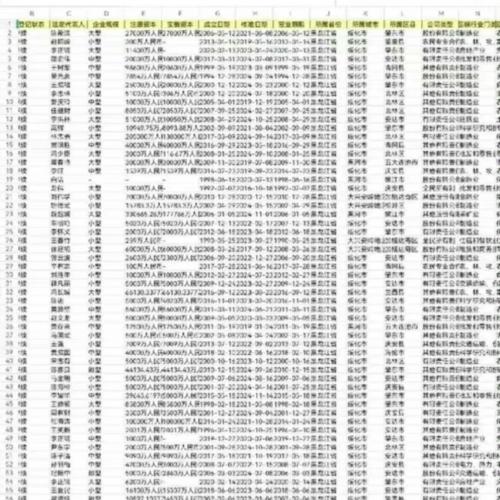 2025年最新企业工商注册基础数据（更新至2025年1月）