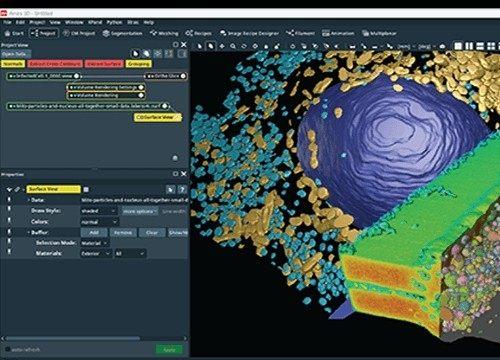 Amira-Avizo 2025.1 Windows版图像分析软件发布，支持显微成像与AI数据处理