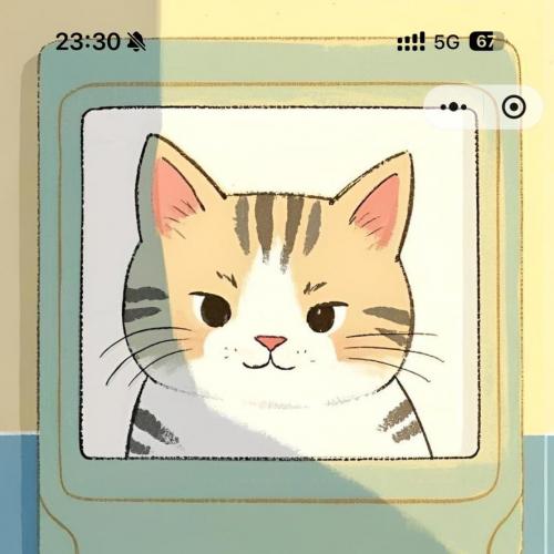 最新发布：全功能证件照小程序源码，含3套前端模板+Java后台+管理端完整代码