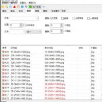 高效批量文件重命名工具 - 绿色便携版开发助手