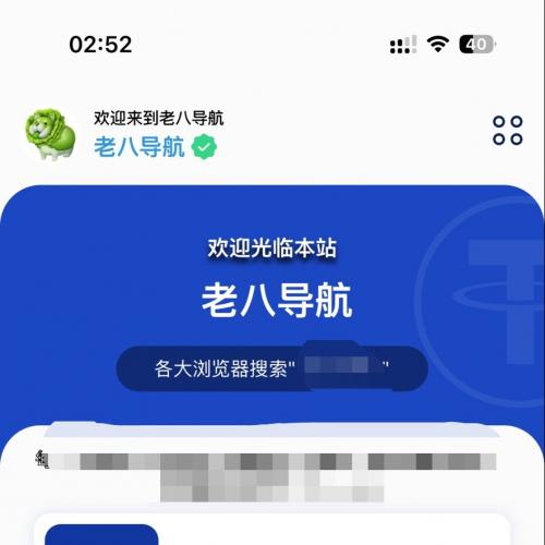 2025 最火软件推广导航系统PHP源码(有演示站) 