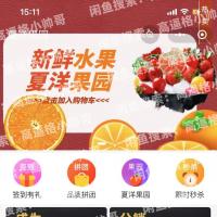 Shopro V3高级授权版源码 带分销功能 多端商城支持到店核销与快递发货