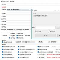 网络验证加密盾：一键式加壳加密与多层防护