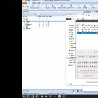 百度网盘批量转存工具源码，支持自动更新数据版本
