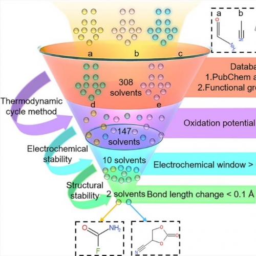 蛋白抑制剂与激动剂虚拟筛选｜基于AutoDock Vina的自动化药物发现服务
