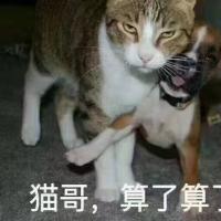 自助洗车系统源码出售｜原生小程序+Java21后端支持多租户与硬件控制