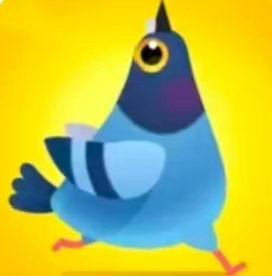 Pigeon Pop游戏解包源码，含Spine动画资源，Unity工程一键解压使用