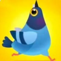 Pigeon Pop游戏解包源码，含Spine动画资源，Unity工程一键解压使用