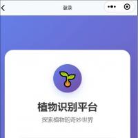 植物识别与养护小程序源码【含调试服务】SpringBoot+Vue3前后端分离项目 源码+数据库 附安装工具包 017