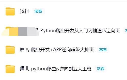 Python爬虫+JS逆向+APP逆向三合一高配实战课｜猿来13期+路飞2-11期+逆向1-14期｜零基础直达接单变现