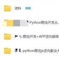 Python爬虫+JS逆向+APP逆向三合一高配实战课｜猿来13期+路飞2-11期+逆向1-14期｜零基础直达接单变现