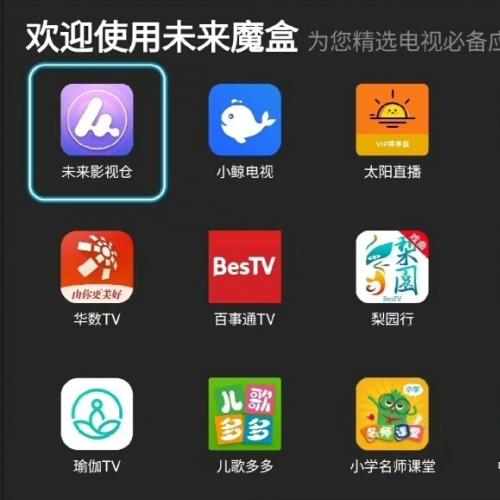 智能电视应用市场App及后台管理源码，支持TV端部署（虚拟商品不退不换）