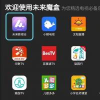 智能电视应用市场App及后台管理源码，支持TV端部署（虚拟商品不退不换）