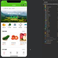 农产品商城小程序完整源码 前后端+后台管理系统一体化
