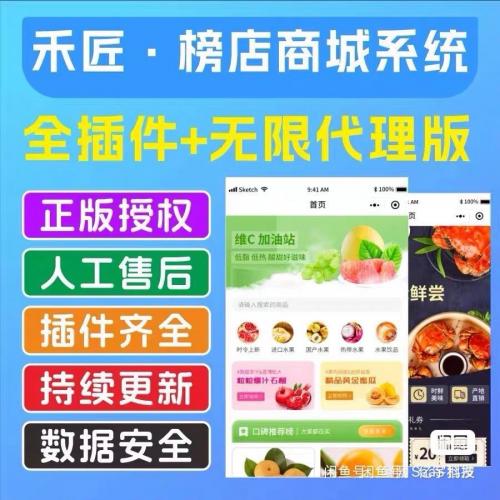 正版禾匠SaaS商城系统 小程序坑位版 全功能插件+无限代理支持
