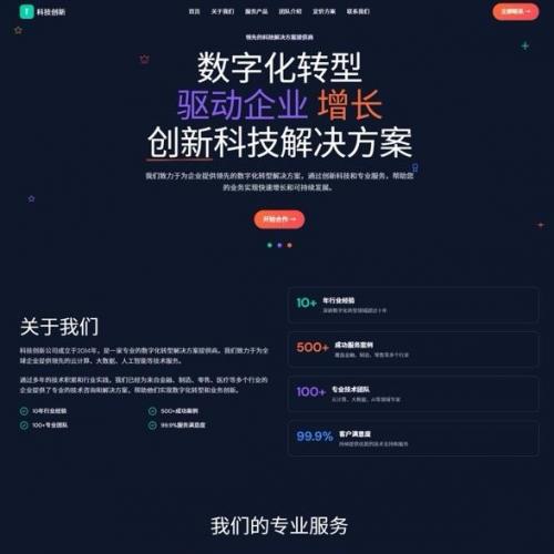 企业官网与小程序源码，支持本地独立部署的科技风网站