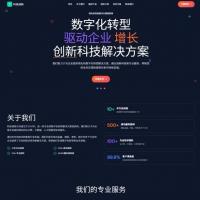 企业官网与小程序源码，支持本地独立部署的科技风网站