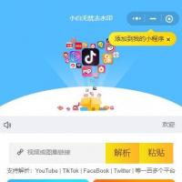 去水印小程序开发服务｜含前后端源码+部署搭建+流量主集成