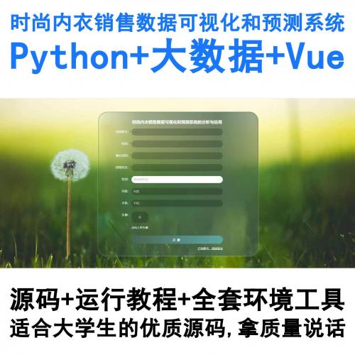 基于Python与Vue的时尚内衣销售大数据可视化分析及销量预测系统