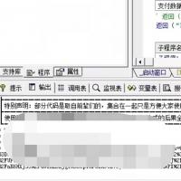 易语言小程序支付跳转源码｜下单自动返回转支付链接｜纷玩岛全功能版｜支持远程部署与抢购对接