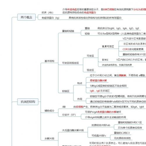 免疫学思维导图（MindMaster可编辑版）｜依据人卫教材+姚小姚免疫学笔记精编