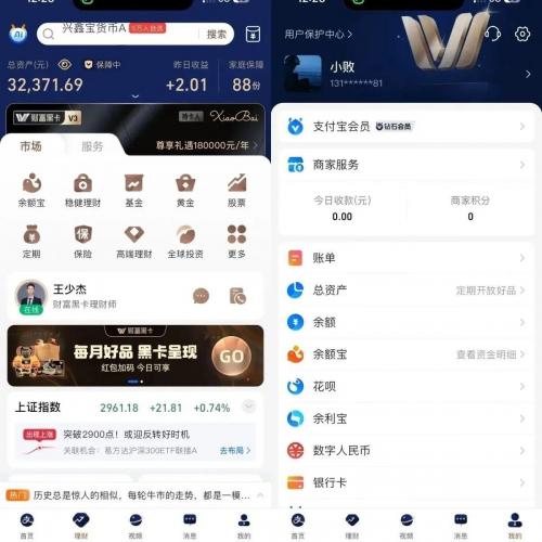 黑金会员模拟器：自定义头像、名称与余额的高级支付宝模拟工具