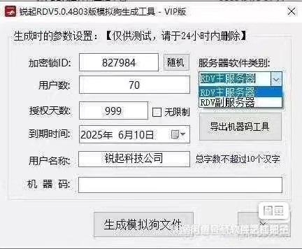 锐起RDV 5.0模拟授权工具 - 无需加密狗的注册