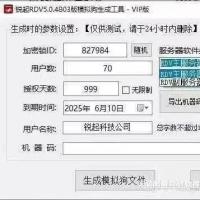 锐起RDV 5.0模拟授权工具 - 无需加密狗的注册