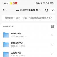VNC远程访问工具，提供安卓版客户端、服务器端及中文版、Windows版客户端