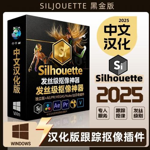 Silhouette2025中文汉化版：视频人物抠像与背景替换利器