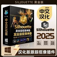 Silhouette2025中文汉化版：视频人物抠像与背景替换利器