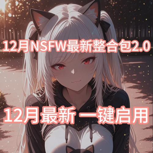 12月最强NSFW V2.0整合包